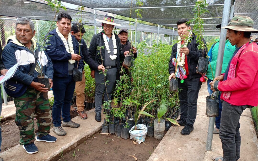 ENTREGA DEL PROYECTO DE FORESTACIÓN EN MICROCUENCAS DE TAPACARÍ