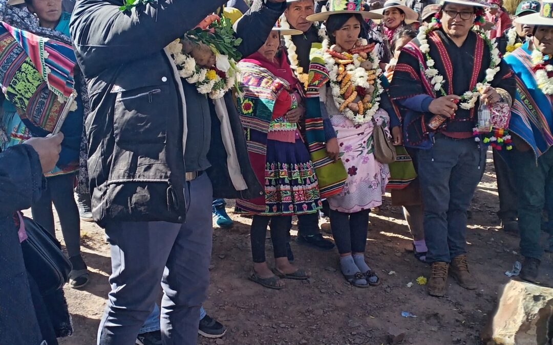 PROYECTO DE ELECTRIFICACIÓN RURAL EN TAPACARÍ