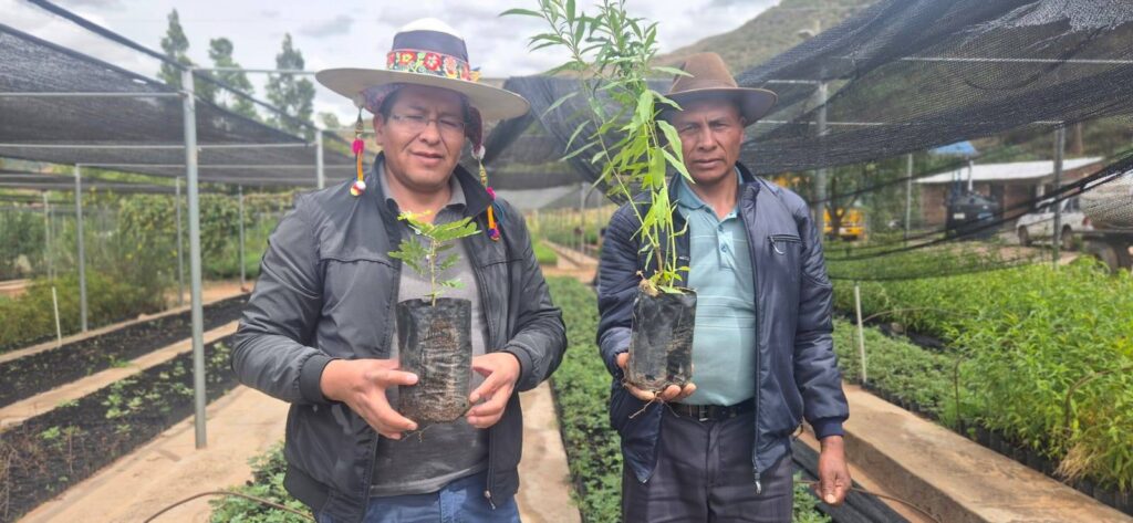 EL G.A.M. DE TAPACARI, A TRAVEZ DE LA DIRECCIÓN DE DESARROLLO PRODUCTIVO SIGUE AVANZANDO CON LA #CAMPAÑADEFORESTACIÓN GESTIÓN 2026 EN LAS COMUNIDADES DE NUESTRO MUNICIPIO