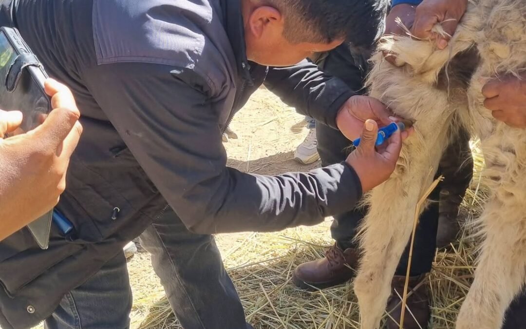 EN RESPUESTA A LAS FAMILIAS AFECTADAS POR LA NEVADA EN EL DISTRITO CHALLA